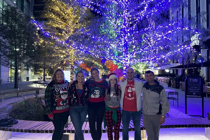 Private Tour to Christmas Winter Village, Bayshore and Hyde Park - Photo 1 of 21